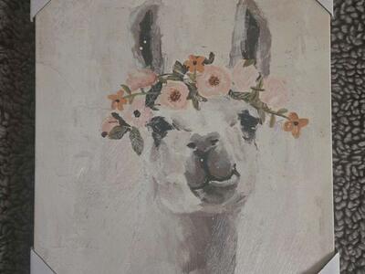 super cute Llama canvas