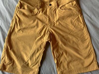 Arc’teryx Shorts - Men’s 32” Waist (Arcteryx)