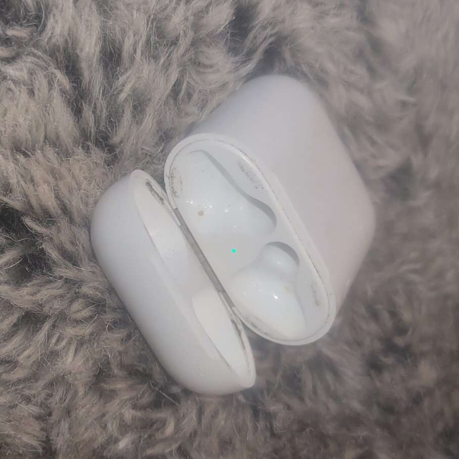 Ear buds charger