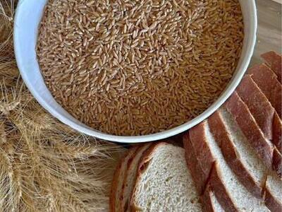 Kamut Wheat Berries or Khorasan Wheat