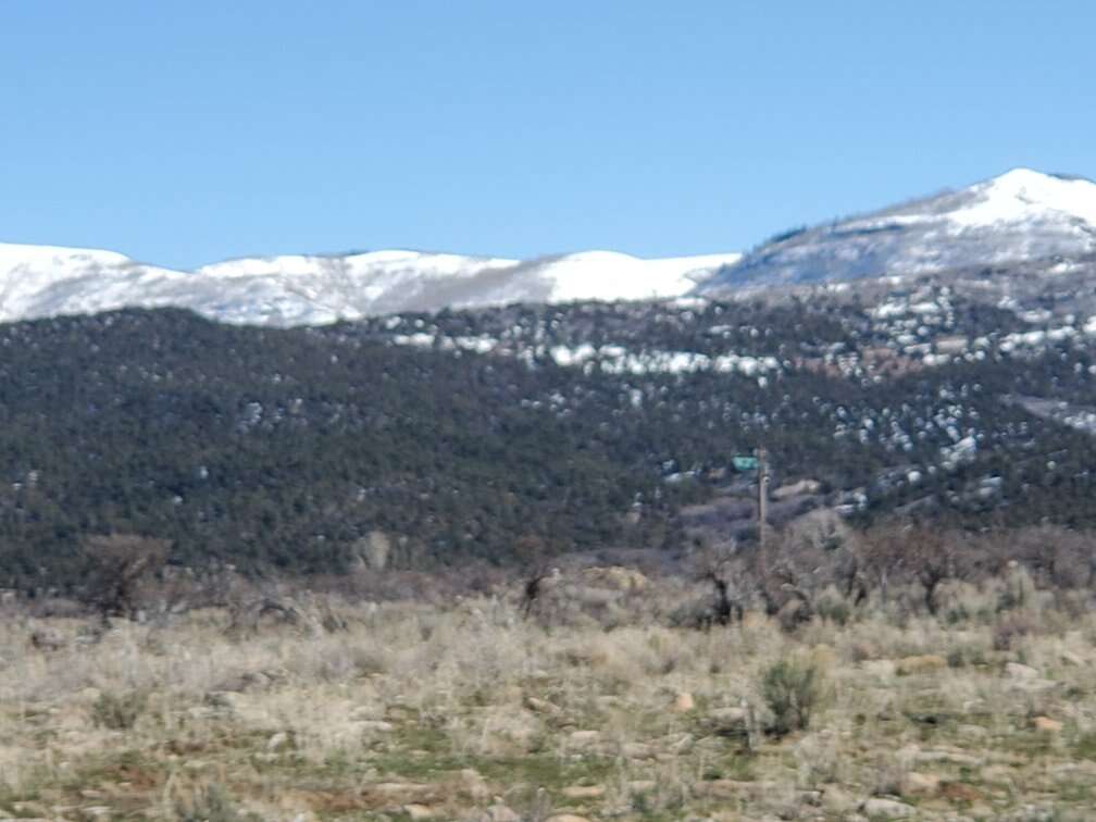 Land 13 1/2 acres  Cut $20,000 $355,00.00