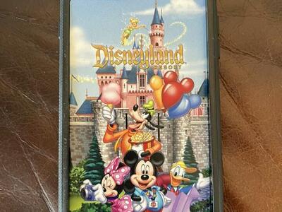 D-tech Disneyland Phone Case