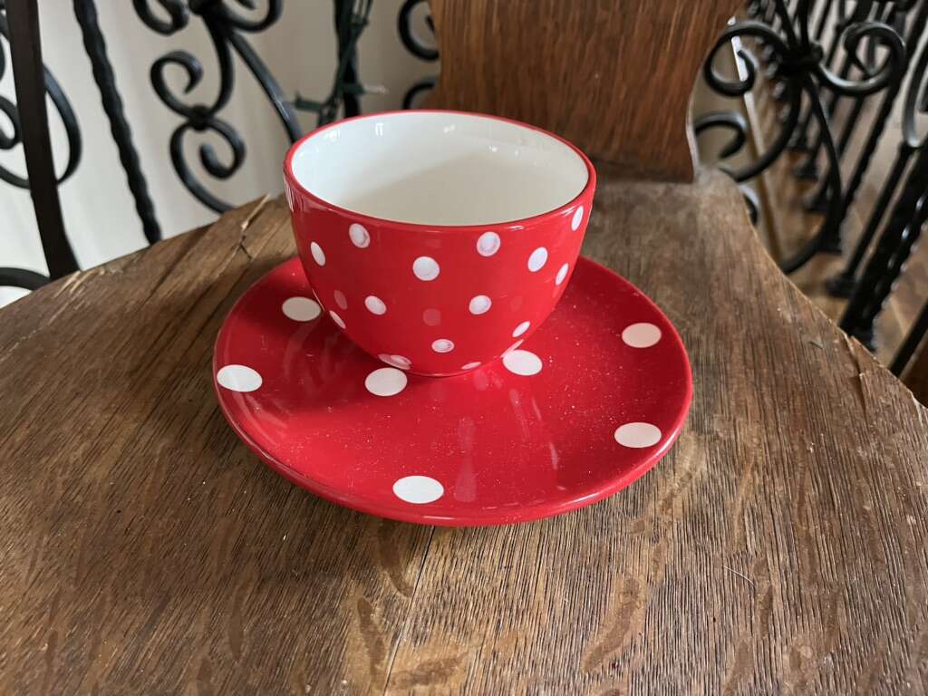 Polka Dot Bowl And Plate Red/white