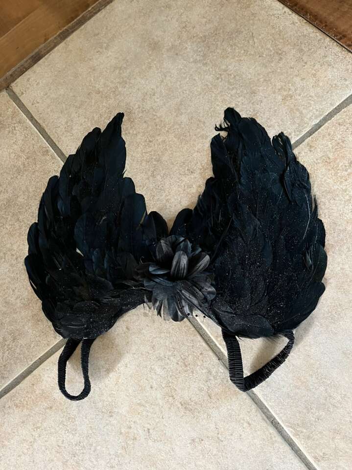 Halloween Black Fairy Wings New!