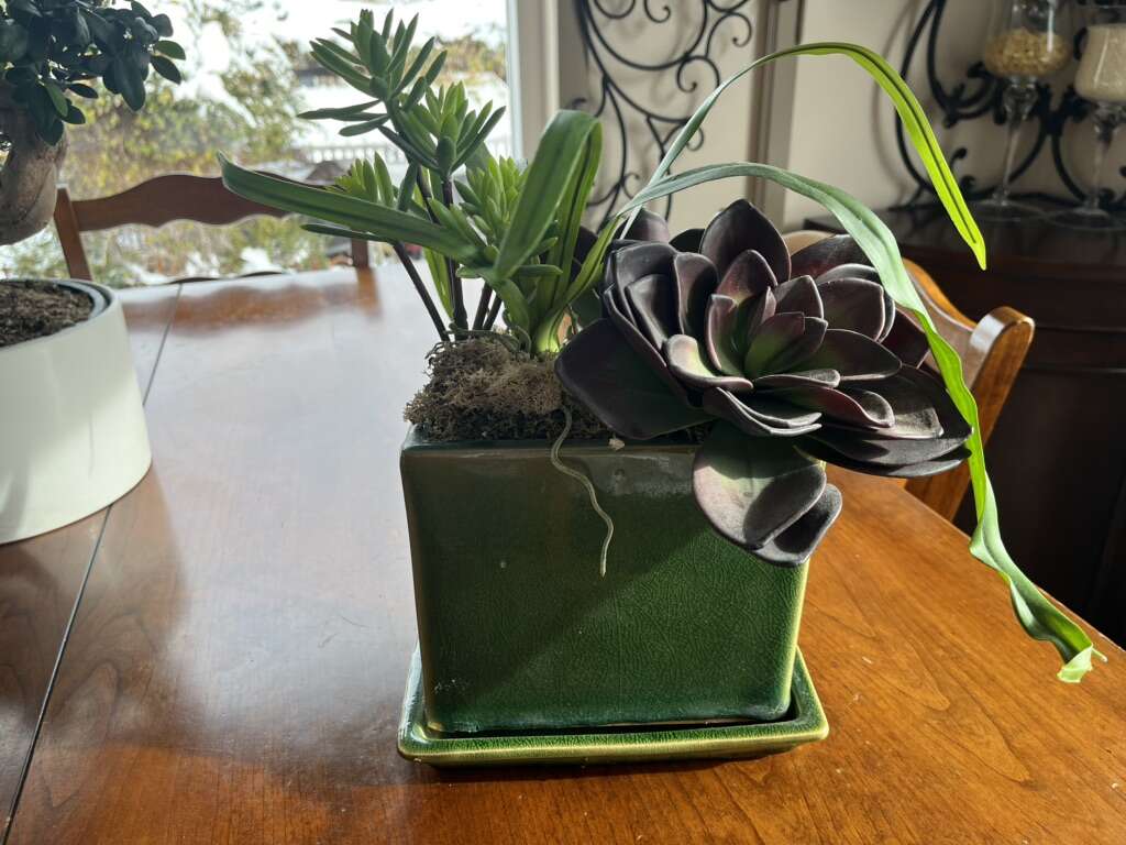 Ceramic Fake Green Succulent Planter
