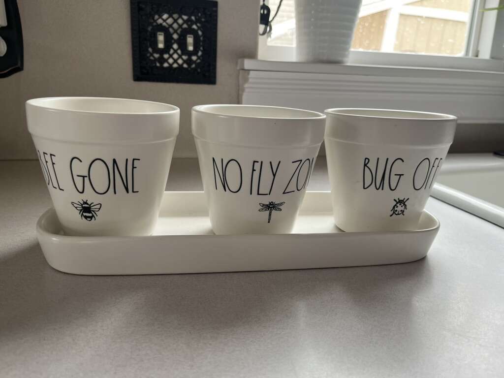 Rae Dunn Planter With 3 Pots