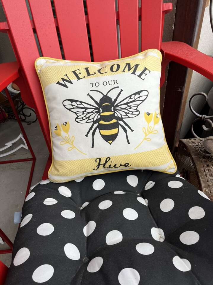 Cute Bee Pillow