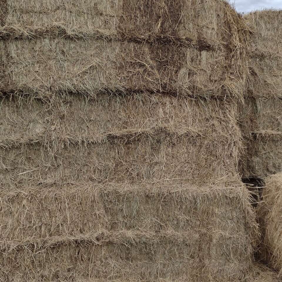 3x3 grass feeder hay | Livestock | ksl.com