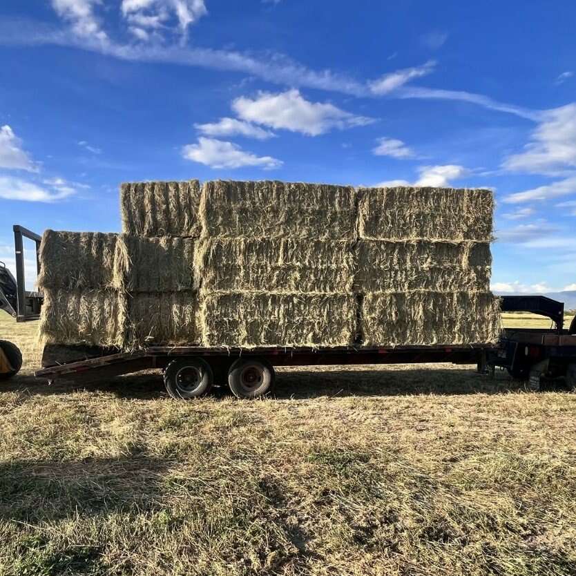 3x4x8 grass hay | Livestock | ksl.com