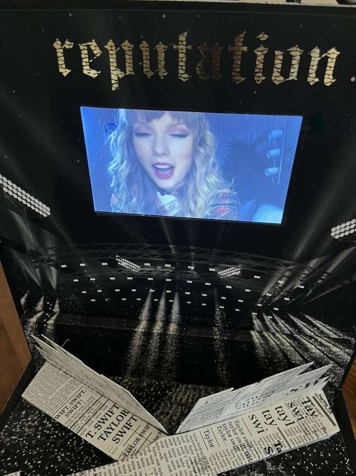 Taylor Swift VIP Reputation Tour Kit