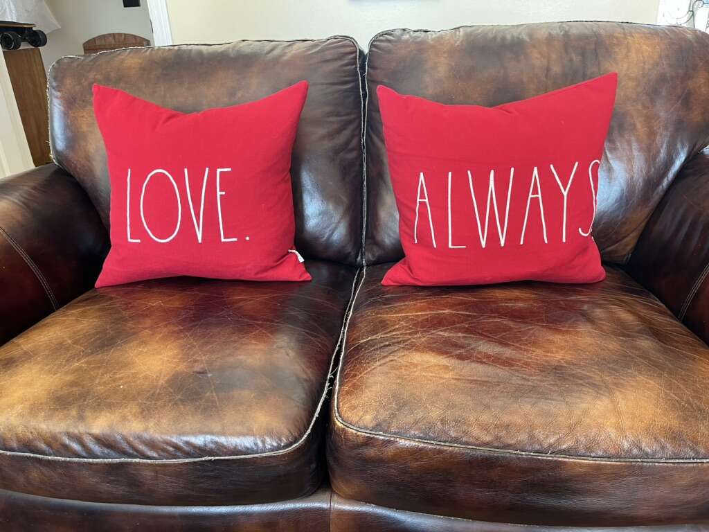 Rae Dunn Set Of Embroidered Toss Pillows