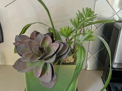Fake Succulent Planter