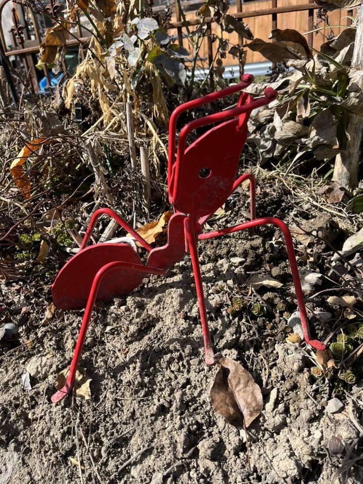 Vintage All Metal Large Red Ant 11” X 11”