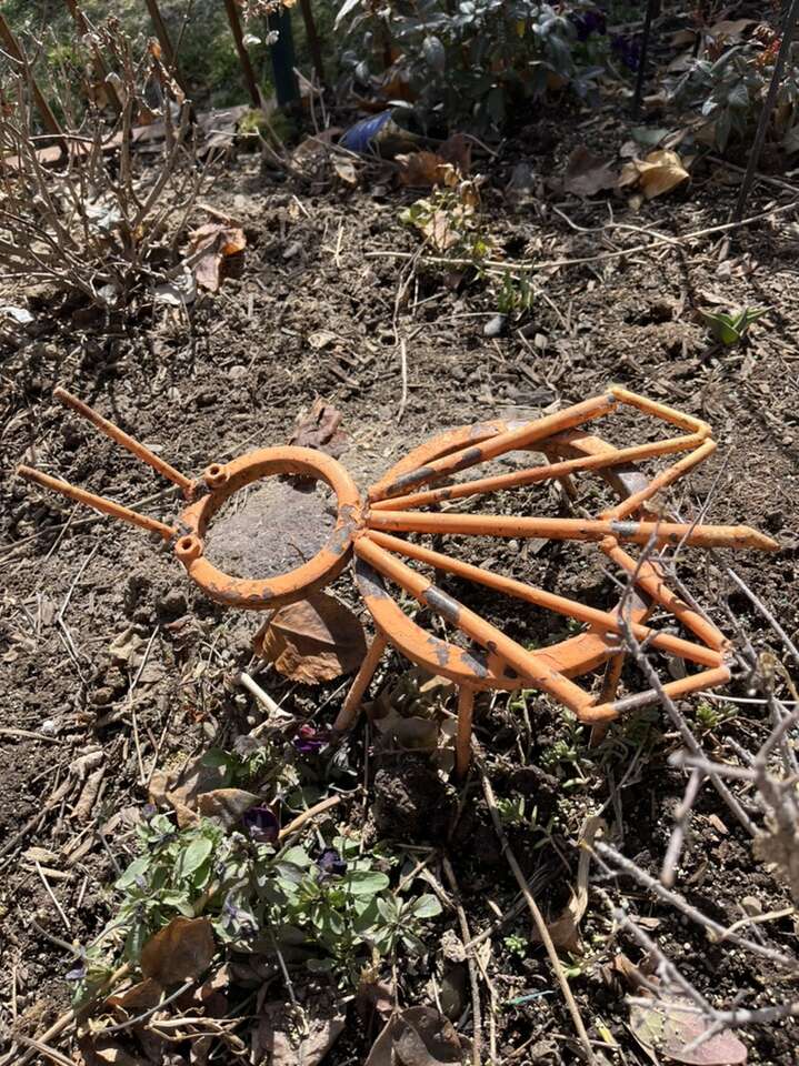 Orange Metal Bug 13” Long