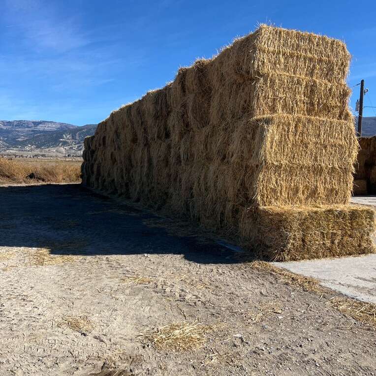 Oat Hay Livestock