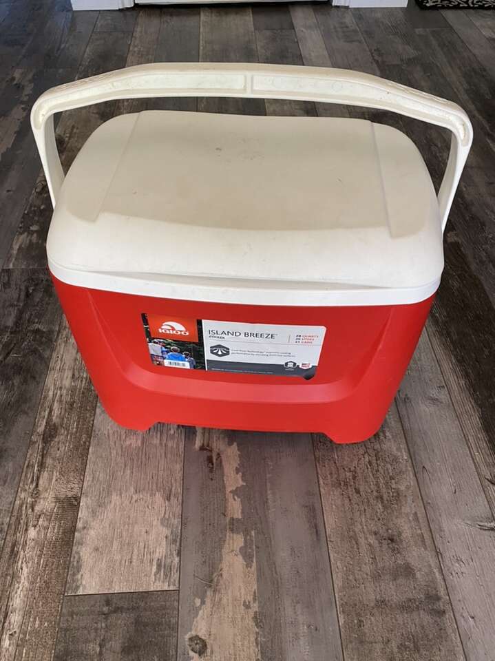 Igloo Cooler 26 Liters