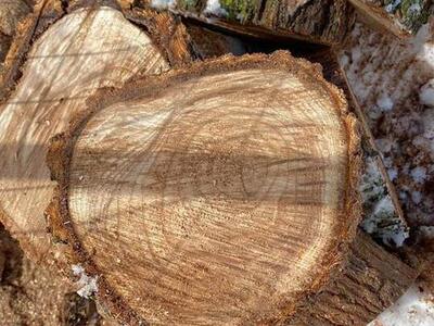 Cookie Rounds For Sale