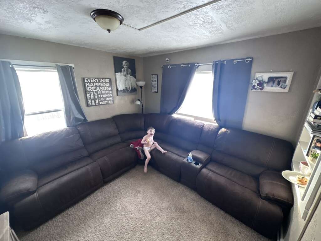 Sectional Couch Furniture