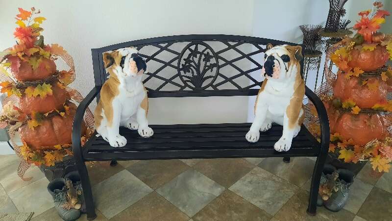 Life like furniture inhancement bull dogs