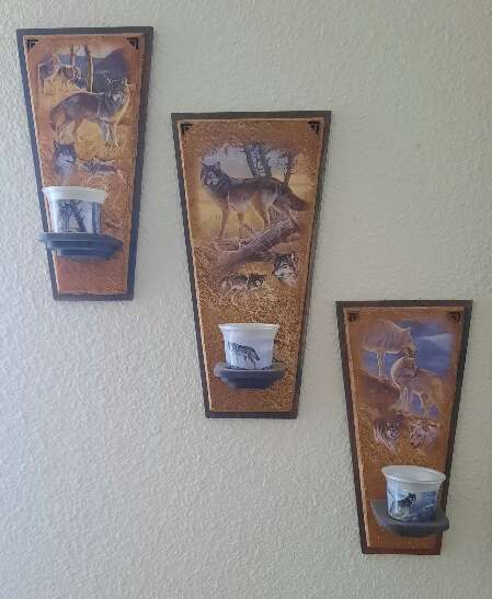 Bradford exchange spirit of the night collection