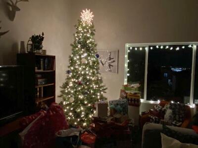 The Ultimate 9-Foot Christmas Tree