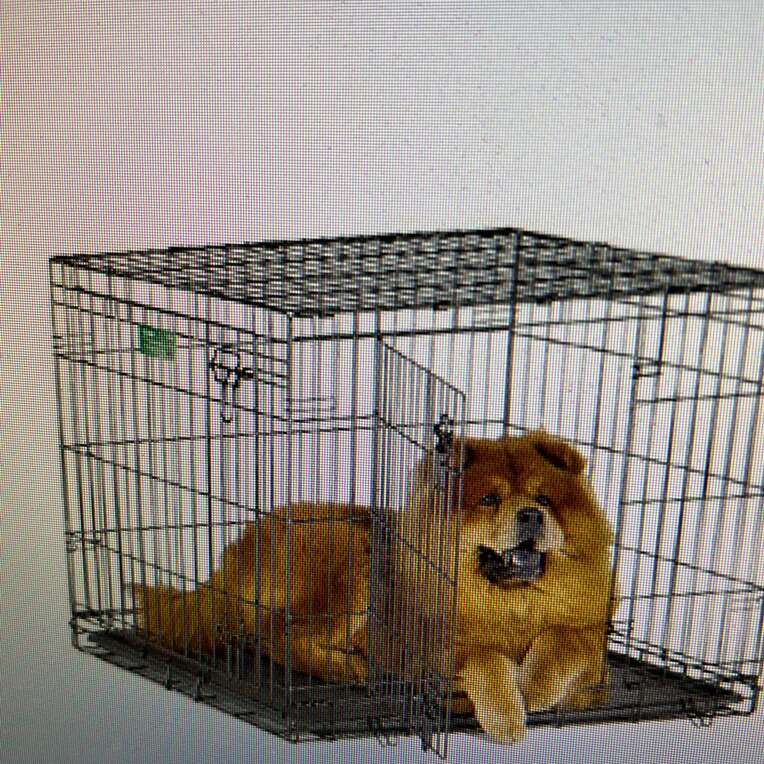 new fold up wire dog crate 536ddu midwest