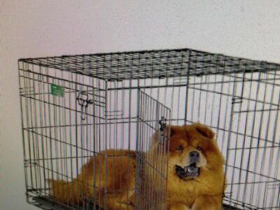 new fold up wire dog crate 536ddu midwest