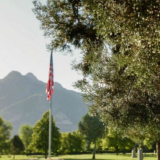 Beautiful Holladay Memorial Plot / Vault / Marker