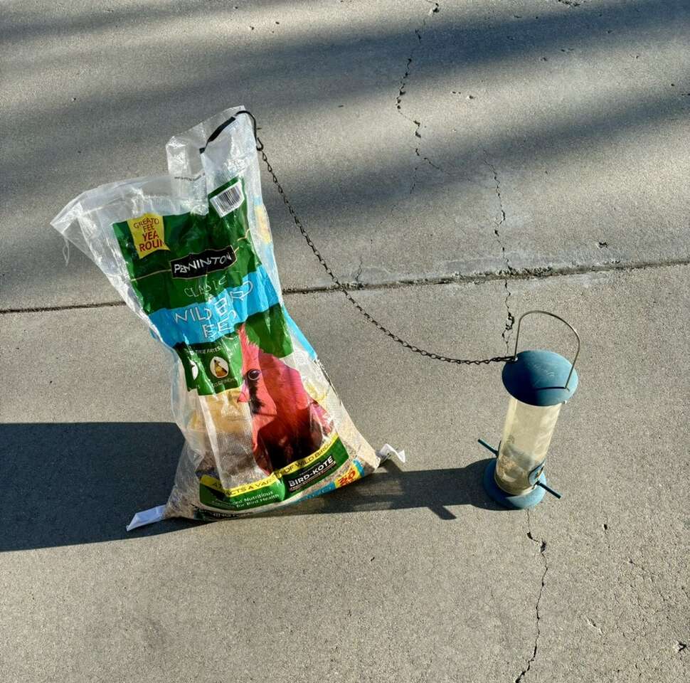 Bird Feeder + Seed