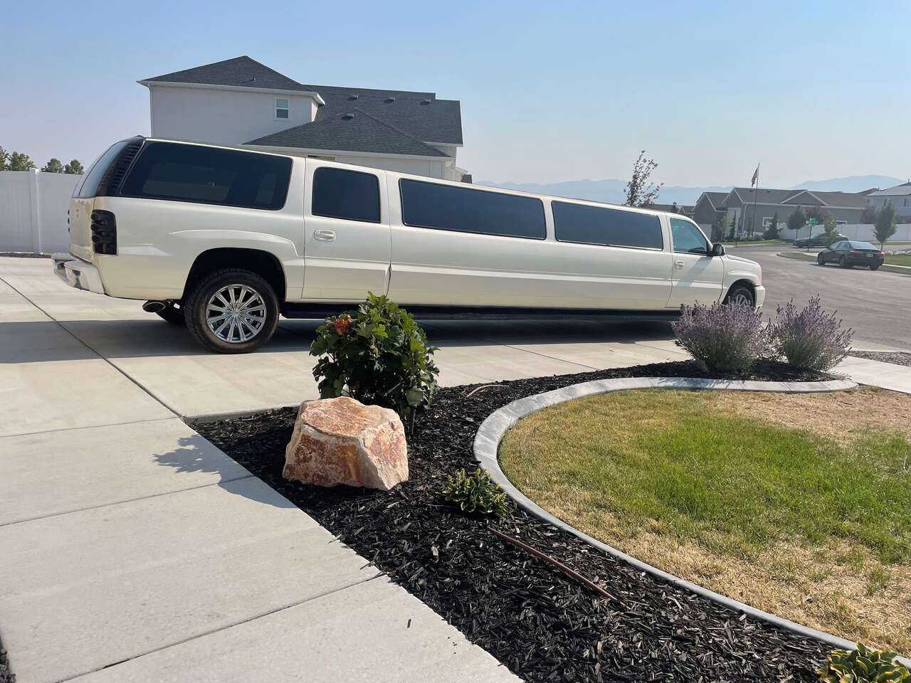 GotLIMO