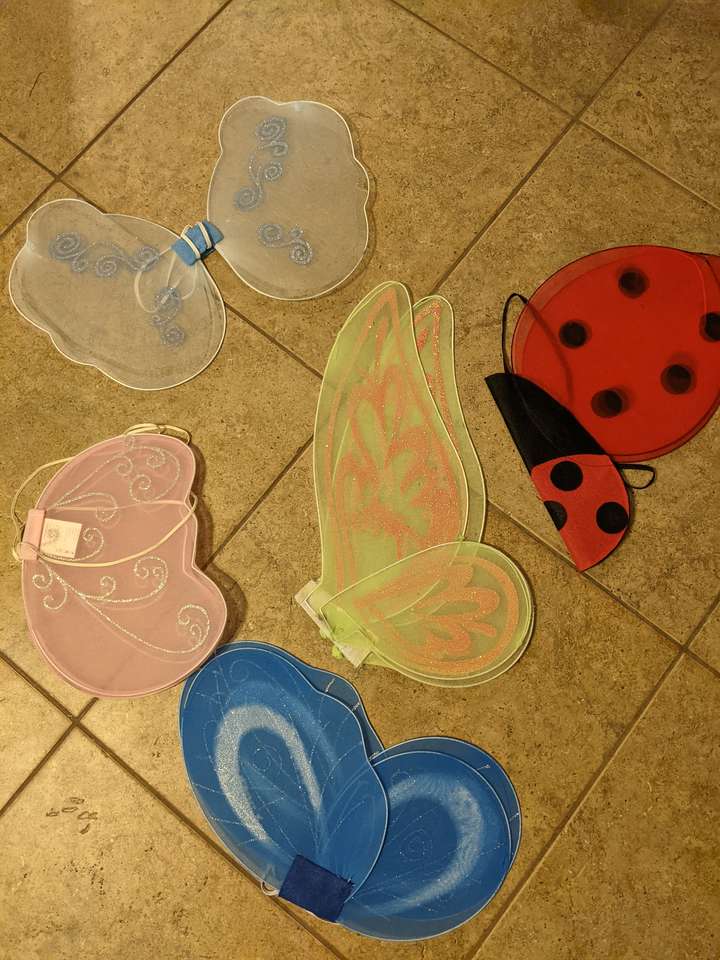 Fairy Butterfly costume Wings Child Size