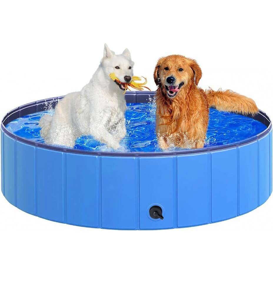 Ksl Pool Doggie Pool | Pets | ksl.com