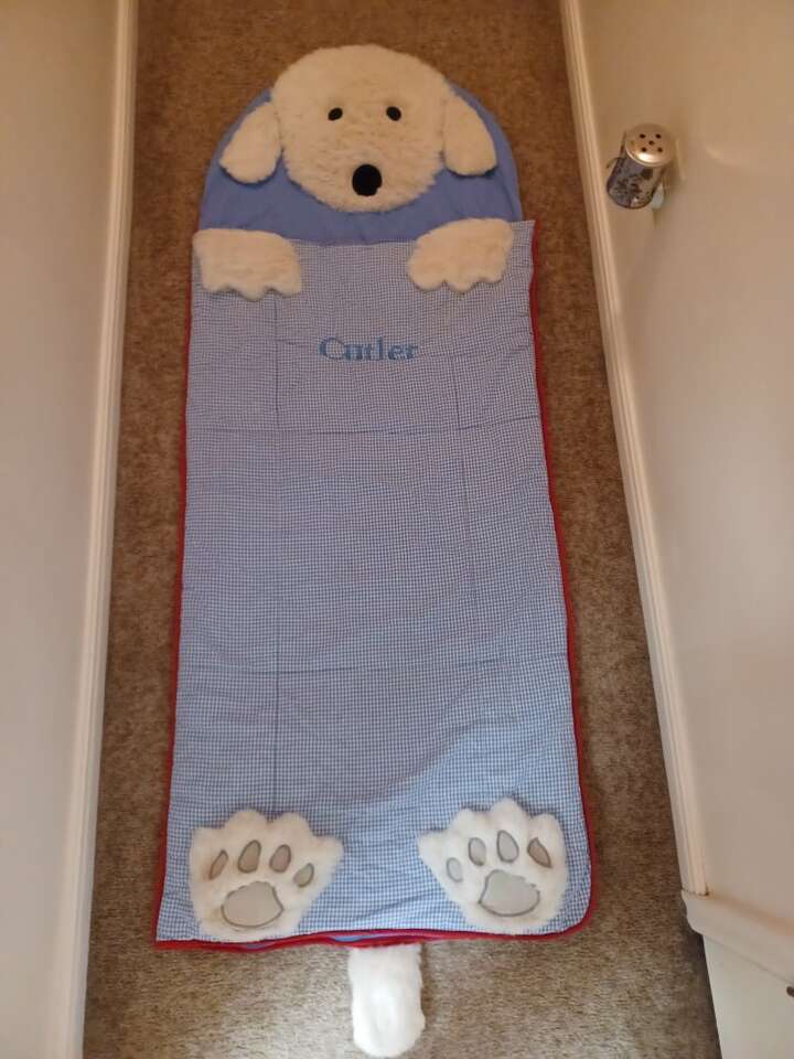 Pottery Barn Kids Sleeping Bag