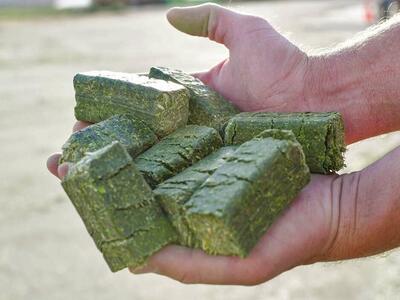 ALFALFA HAY CUBES 1 TON BAGGED HAY CUBES