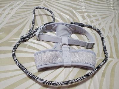 Dog or Cat Harness with Leash