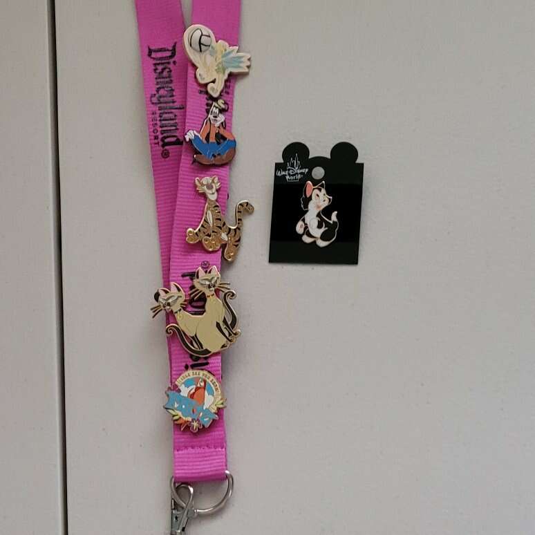 Disney Trading Pins, General