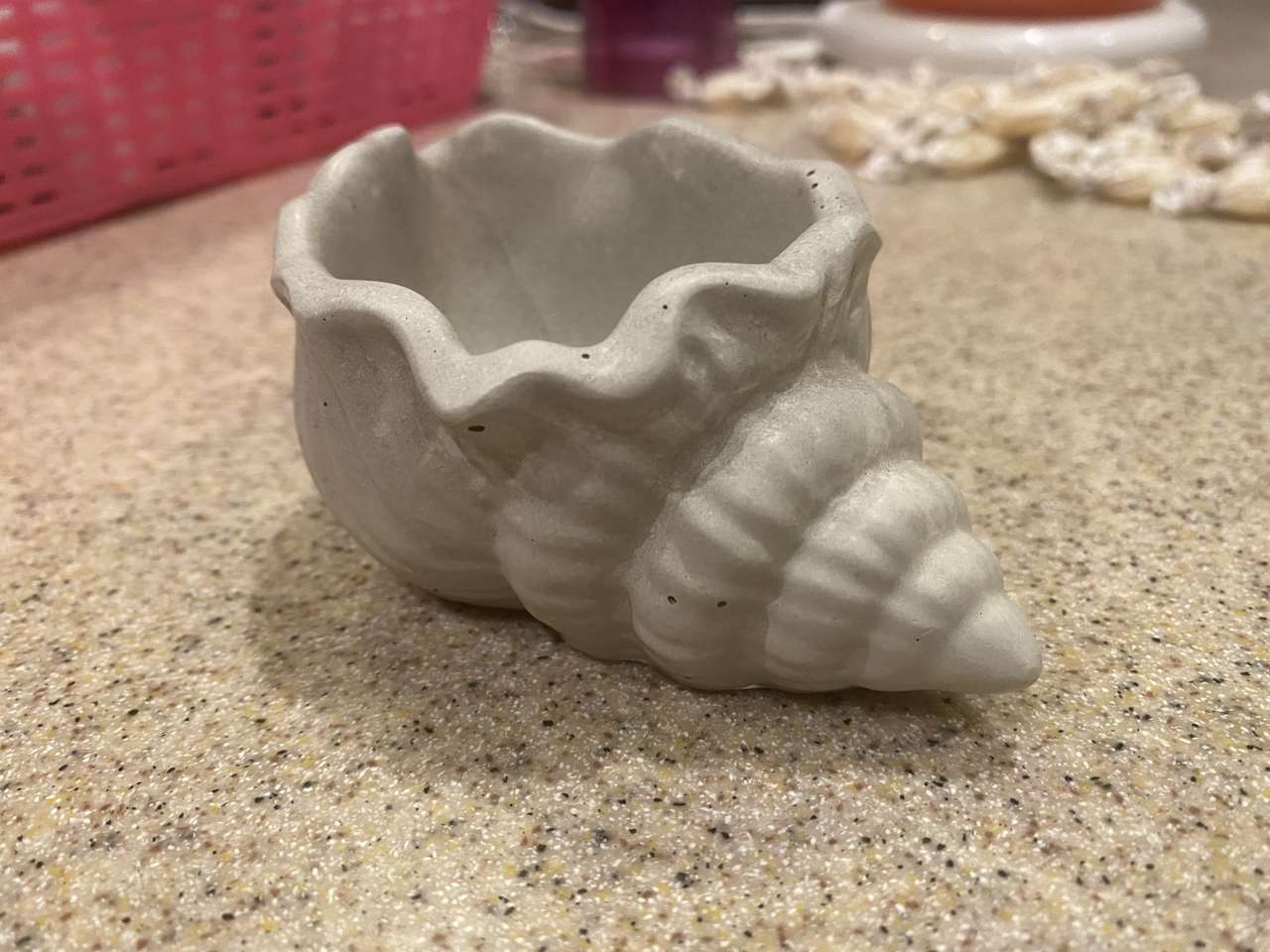 Concrete shell planter