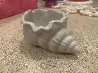 Concrete shell planter