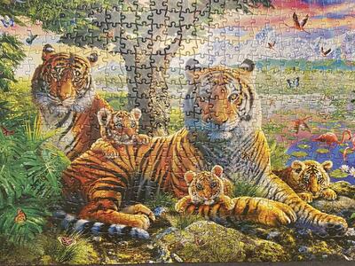 500 piece puzzle amazing nature hidden tiger
