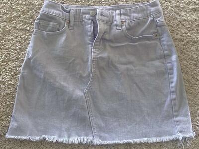 Short skirt size 2 wild fable