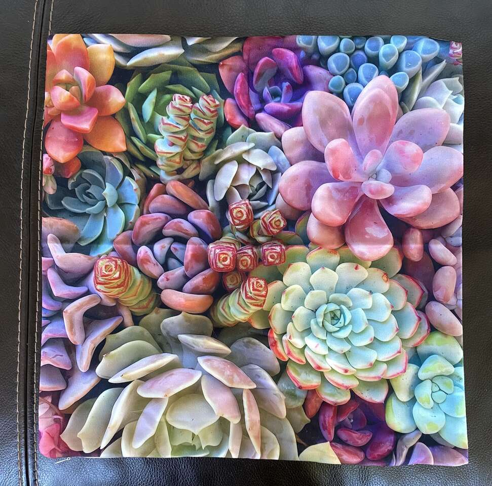 Succulents cushion cover