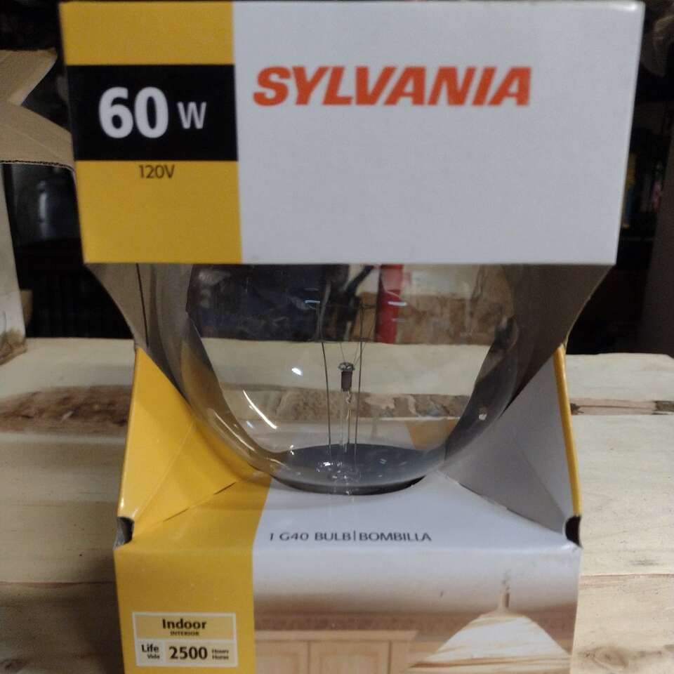 60 W 120 V Sylvania G40 bulbs