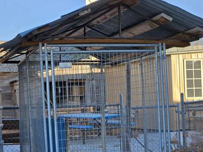 Metal frame dog kennel roof