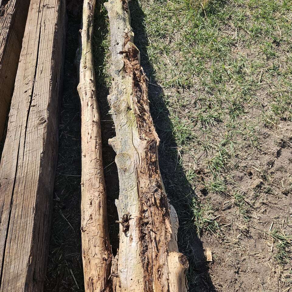 cedar fence post