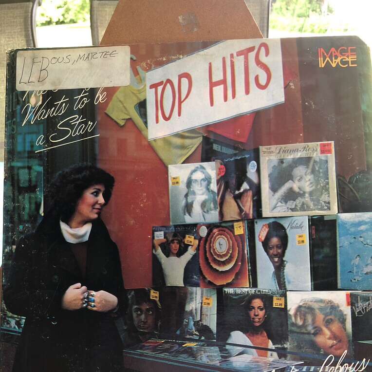 The Lady Wants To Be A Star By Martee Lebous