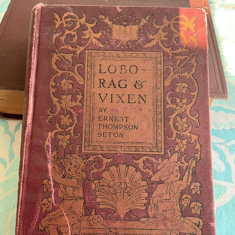 Lobo , Rag And Vixen (Animal Stories) 1899
