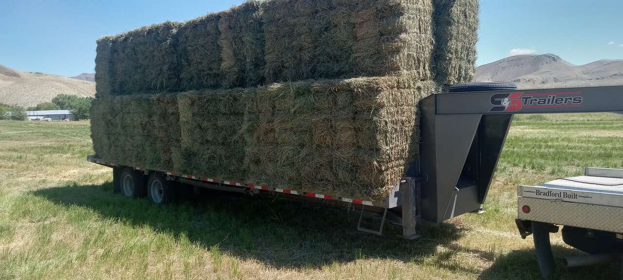 28 Foot Flat Deck Deckover Gooseneck by S and S