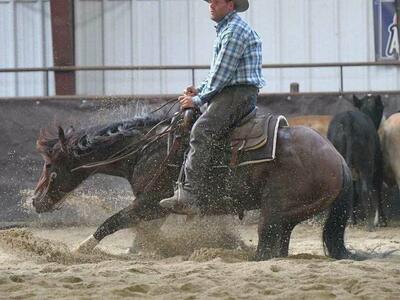 Trumped U (Metallic Cat X Dual Rey)