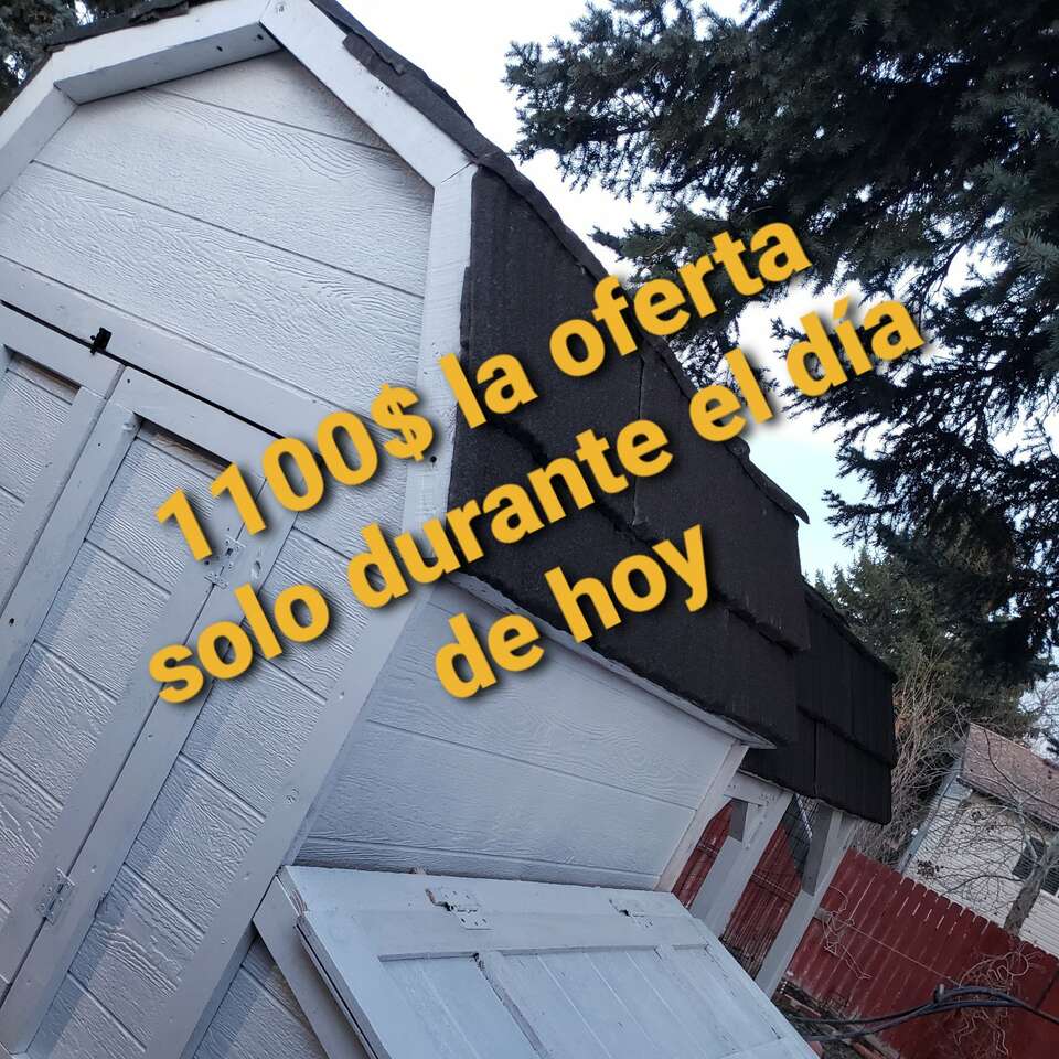 Chicken coop General