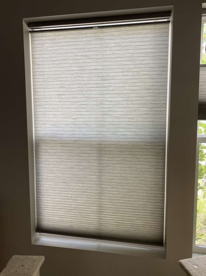 Levolor Up/down Cordless Blinds
